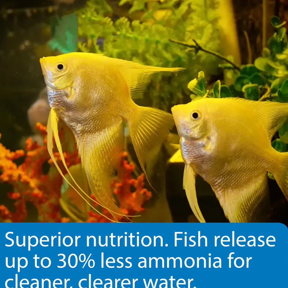 API Tropical Premium Flakes Fish Food 1.1-oz