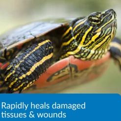 API Turtle Fix Antibacterial Turtle Remedy 8-oz