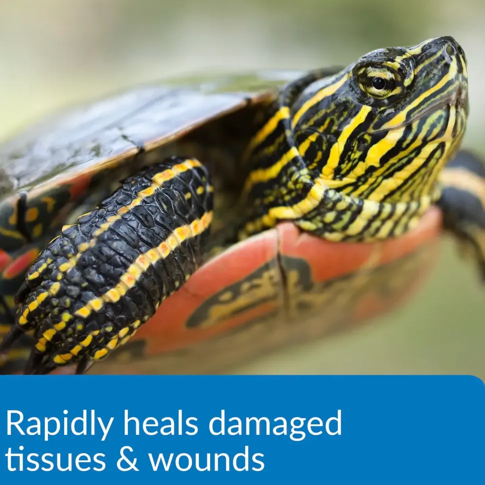 API Turtle Fix Antibacterial Turtle Remedy 8-oz