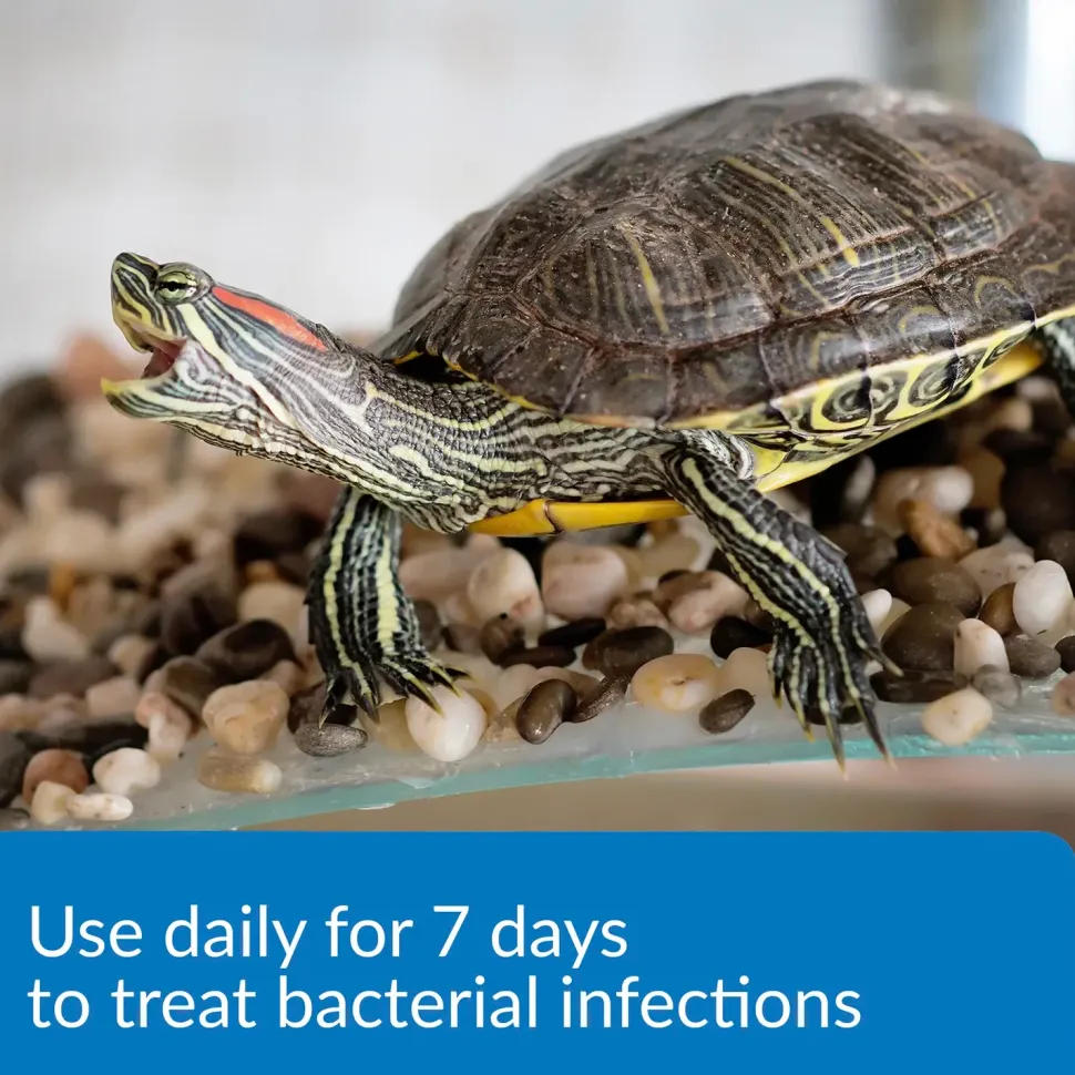 API Turtle Fix Antibacterial Turtle Remedy 8-oz