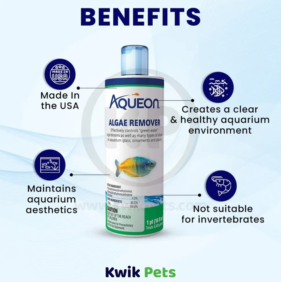 Aqueon Algae Remover for Aquarium 16-oz
