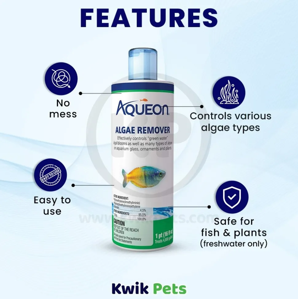 Aqueon Algae Remover for Aquarium 16-oz