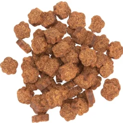 Ark Naturals Gentle Digest Bite Size Soft Chews for Dogs & Cats 120 Count 3.2-oz