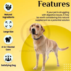Ark Naturals Gentle Digest Bite Size Soft Chews for Dogs & Cats 120 Count 3.2-oz
