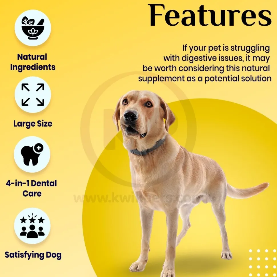 Ark Naturals Gentle Digest Bite Size Soft Chews for Dogs & Cats 120 Count 3.2-oz