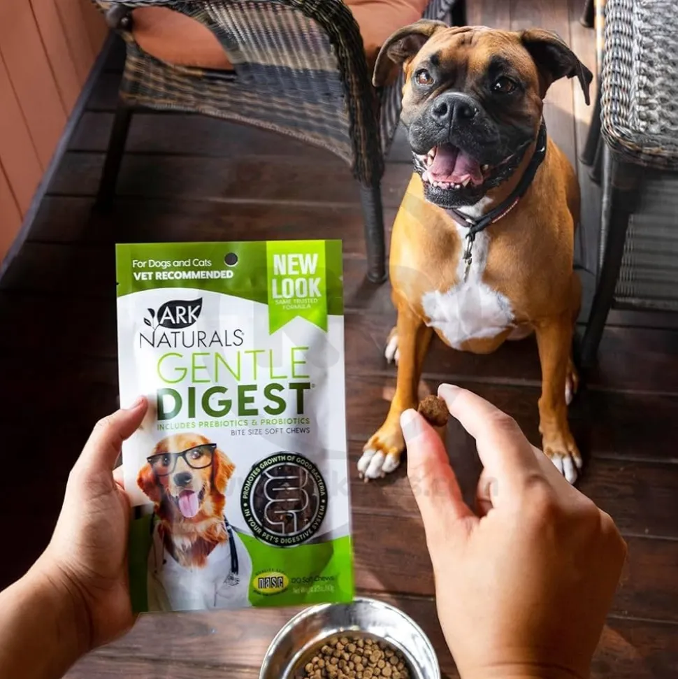 Ark Naturals Gentle Digest Bite Size Soft Chews for Dogs & Cats 120 Count 3.2-oz