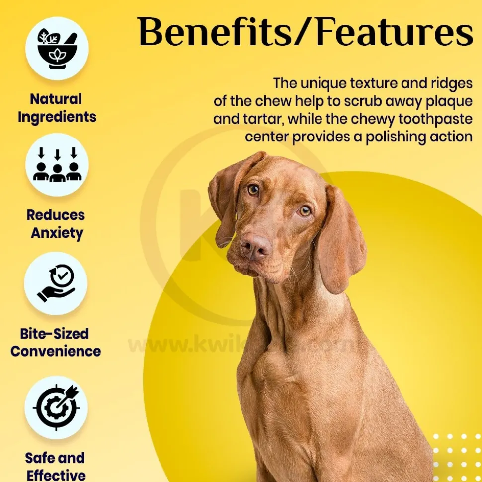 Ark Naturals Happy Traveler Bite Size Soft Chews for Dogs & Cats 75 Count 1.98-oz