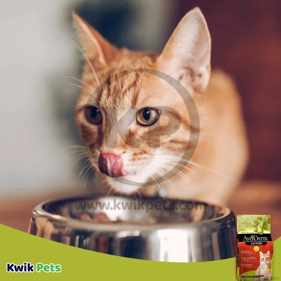 AvoDerm Natural Chicken & Herring Meal Formula Dry Cat Food 6-lb