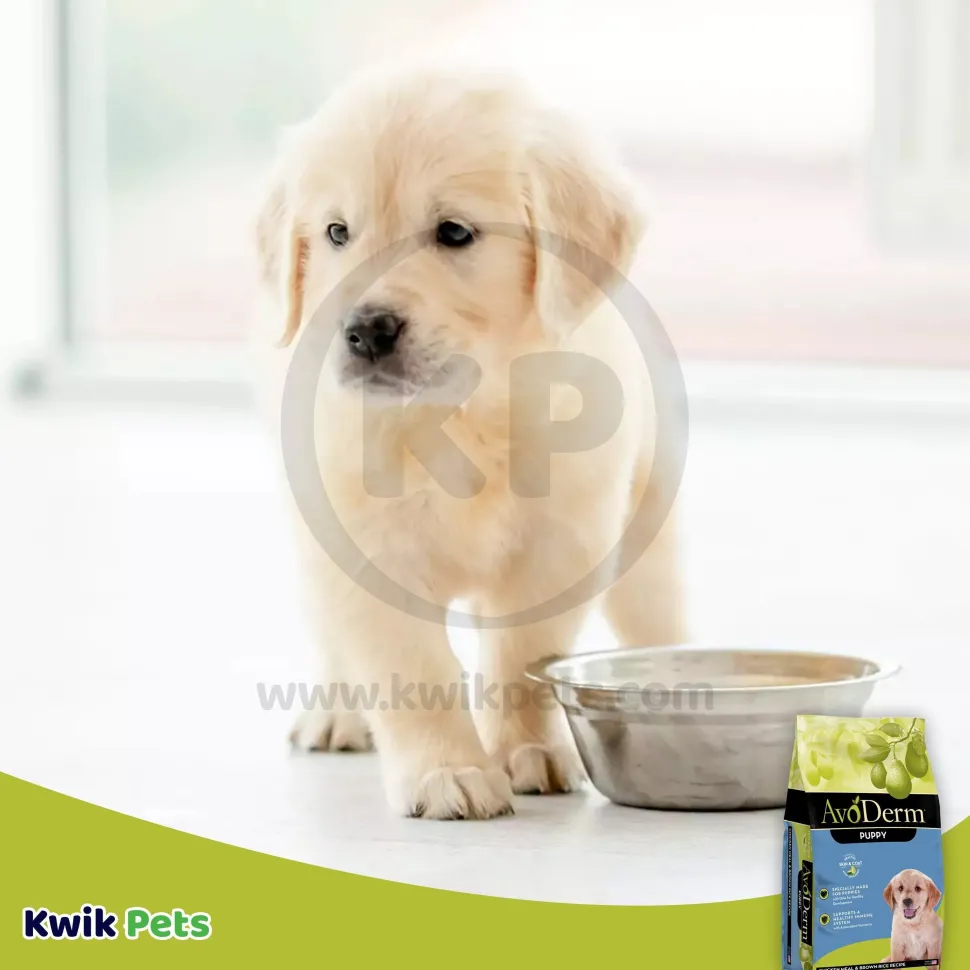 AvoDerm Natural Chicken Meal & Brown Rice Dry Puppy Food 4.4-lb