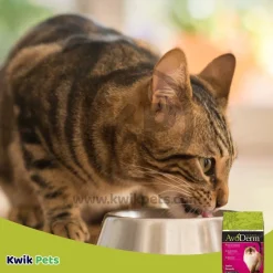 AvoDerm Natural Indoor Formula Adult Dry Cat Food 11-lb