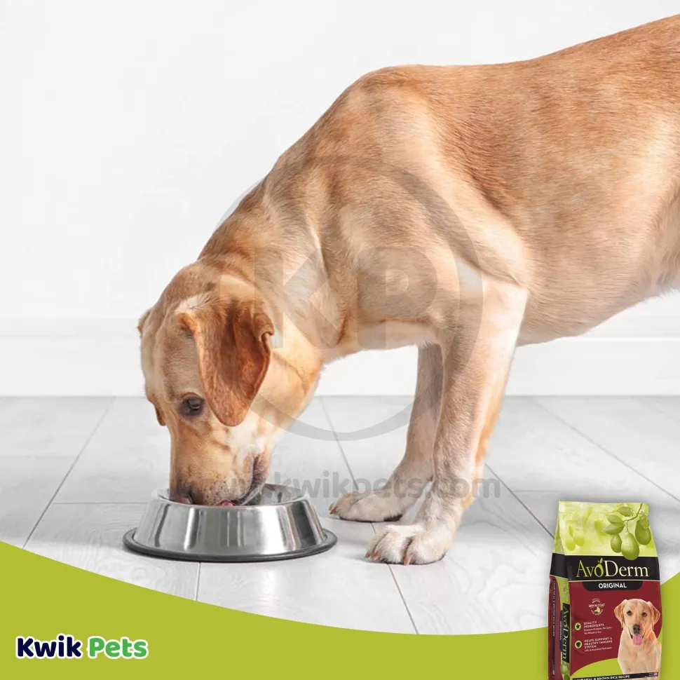 AvoDerm Natural Original Lamb Meal & Brown Rice Recipe Dry Dog Food 4.4-lb