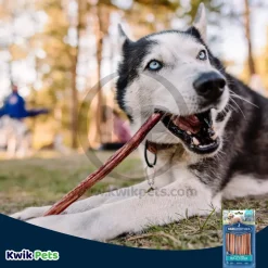 Barkworthies 6" Odor Free Bully Stick Dog Chews 5 Count
