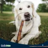 Barkworthies Odor-Free Cane Bully Sticks Dog Treat