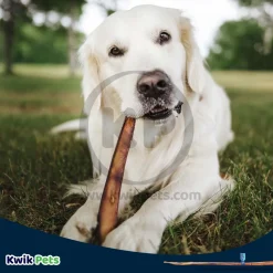 Barkworthies Odor-Free Cane Bully Sticks Dog Treat