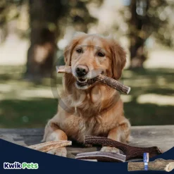 Barkworthies Split Elk Antler XL Breed Dog Chews