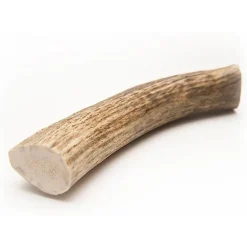 Barkworthies Whole Elk Antler Dog Chew for Large Breed Dogs