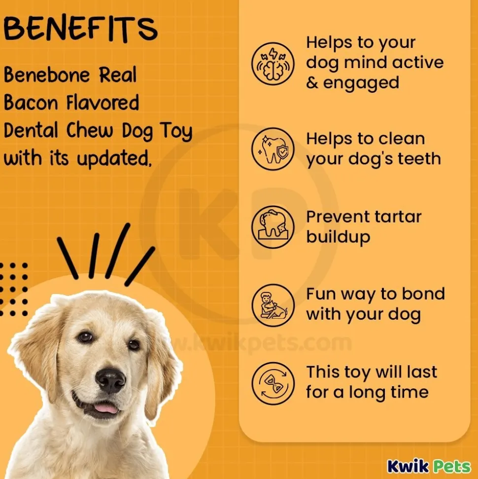 Benebone Dental Chew Dog Toy Bacon Medium