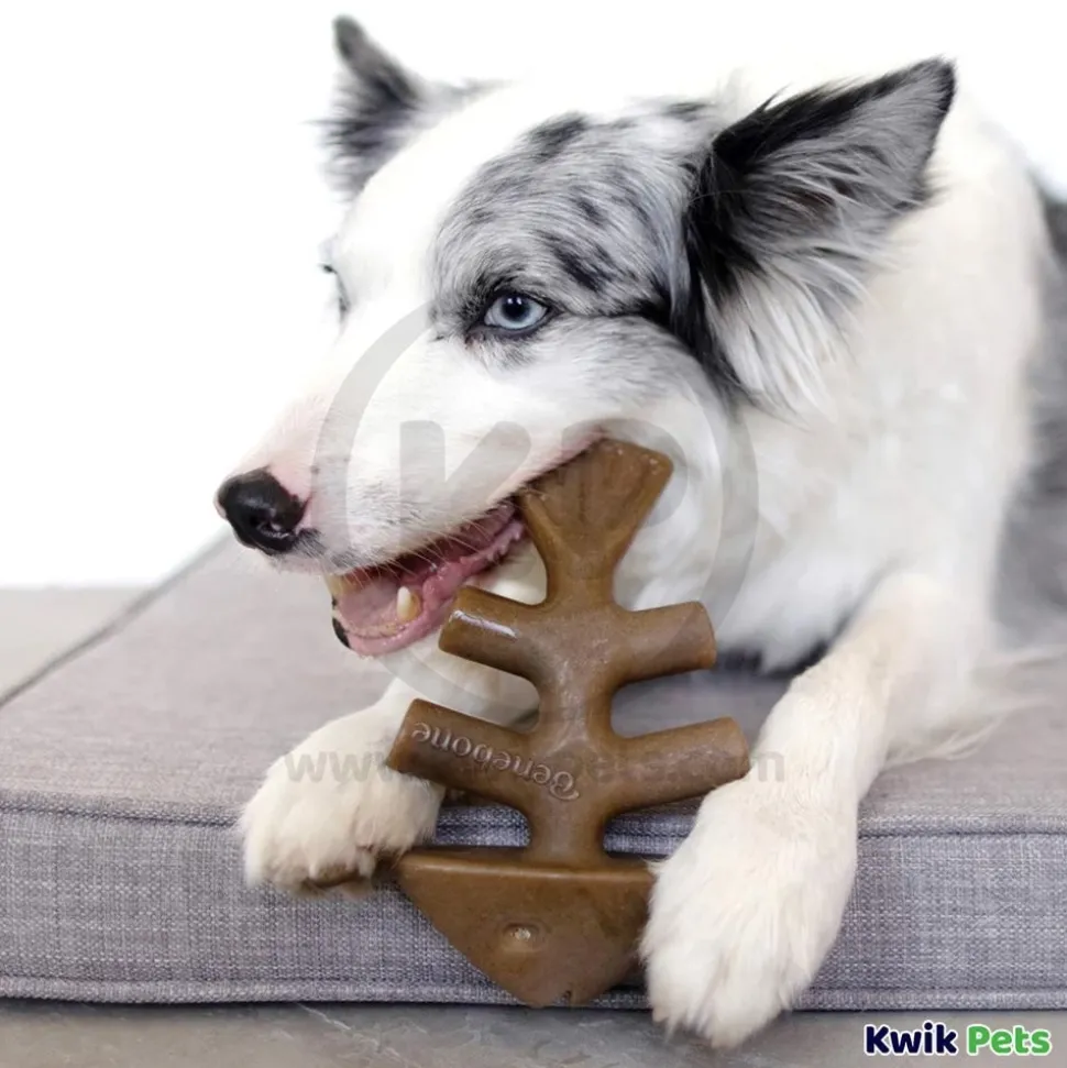 Benebone Jack Salmon Fishbone Dog Chew Toy Medium