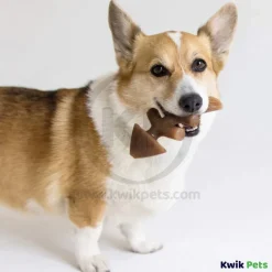 Benebone Jack Salmon Fishbone Dog Chew Toy Small