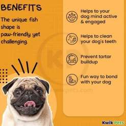 Benebone Jack Salmon Fishbone Dog Chew Toy Small
