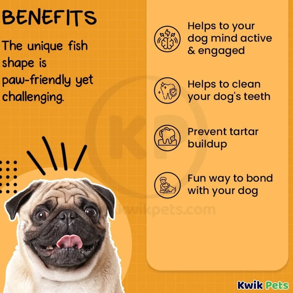 Benebone Jack Salmon Fishbone Dog Chew Toy Small