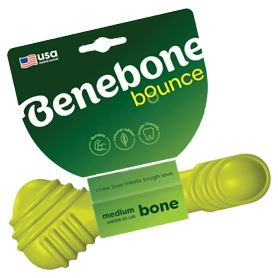 Benebone Natural Rubber Bone Dog Chew toy Green Medium