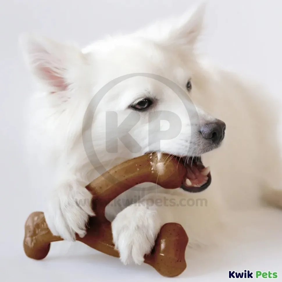 Benebone Wishbone Dog Chew Toy Bacon Medium