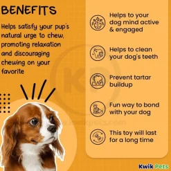 Benebone Wishbone Dog Chew Toy Bacon Small