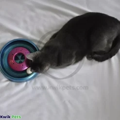 Bergan Catnip Cyclone Interactive Cat Toy