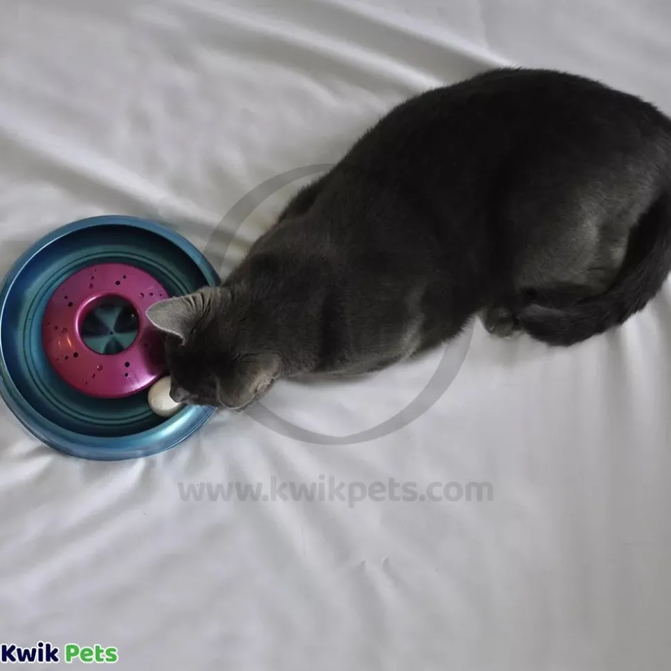 Bergan Catnip Cyclone Interactive Cat Toy