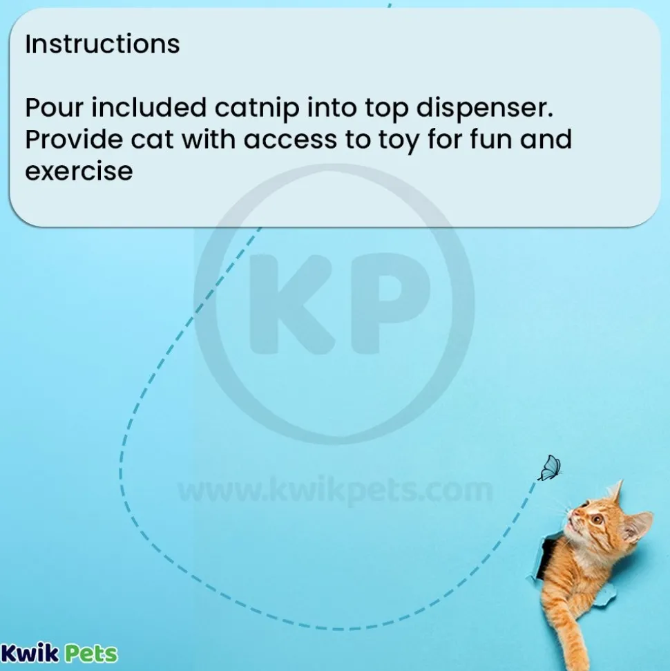 Bergan Catnip Cyclone Interactive Cat Toy