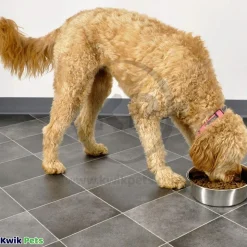 Bergan Heavy Duty Stainless Steel Dog & Cat Bowl 8-Cups Capacity