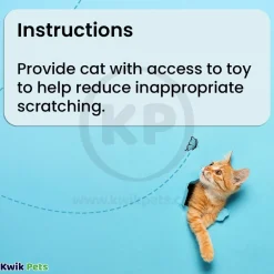 Bergan Star Chaser Catnip Toy Assorted