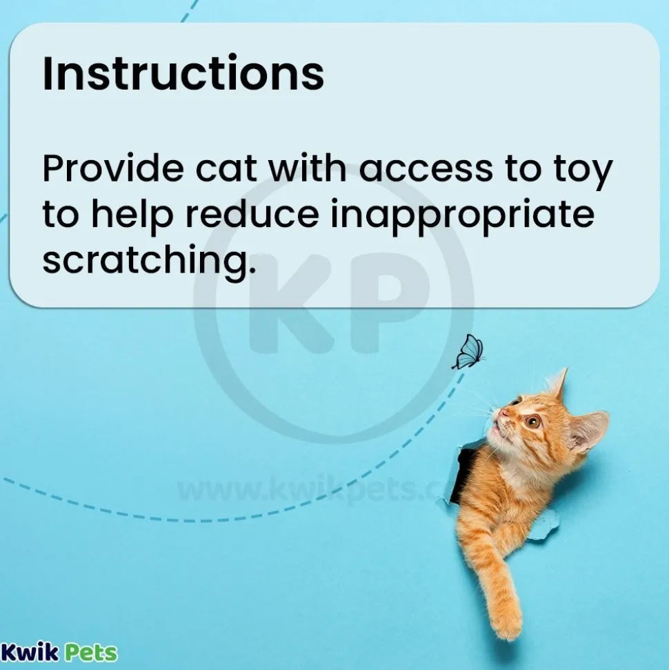 Bergan Star Chaser Catnip Toy Assorted