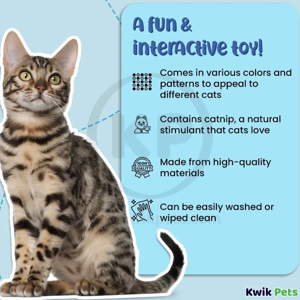 Bergan Star Chaser Catnip Toy Assorted