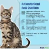 Bergan Turbo Track Cat Toy