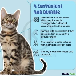 Bergan Turbo Track Cat Toy