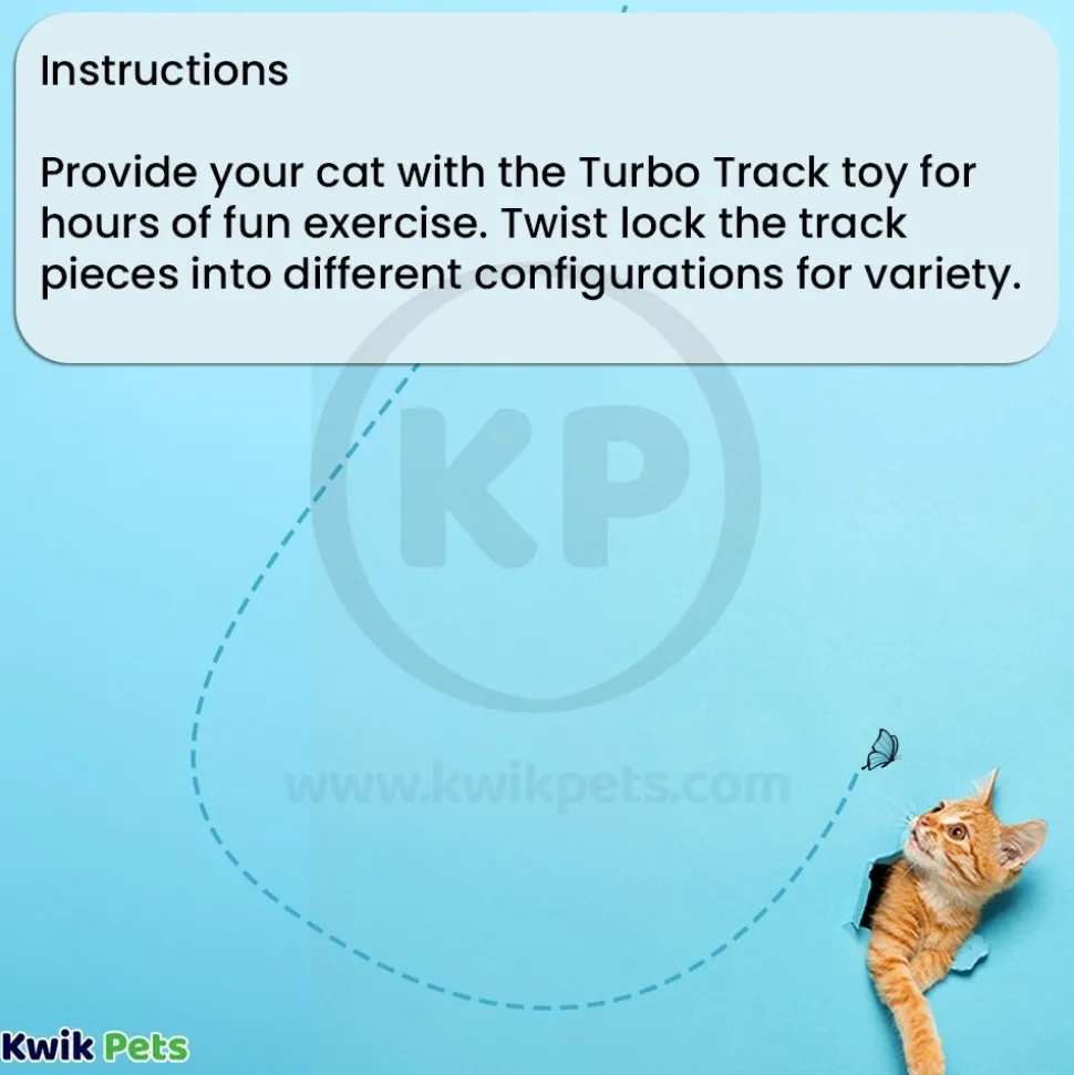 Bergan Turbo Track Cat Toy