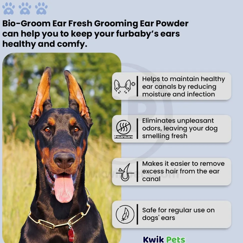Bio-Groom Ear Fresh Grooming Ear Powder for Dogs 24g
