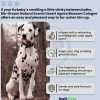 Bio-Groom Natural Scents Crisp Apple Cologne Spray for Dogs 4-oz