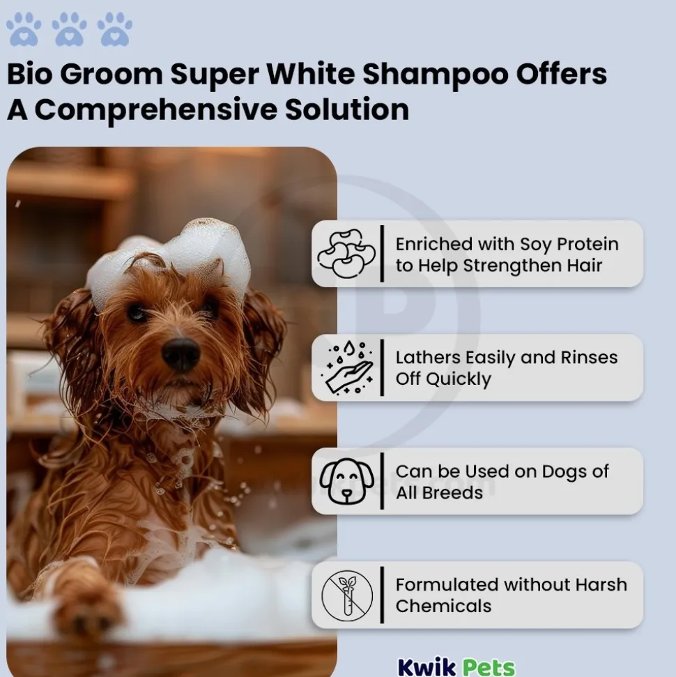 Bio-Groom Super White Shampoo for Dogs 12-oz