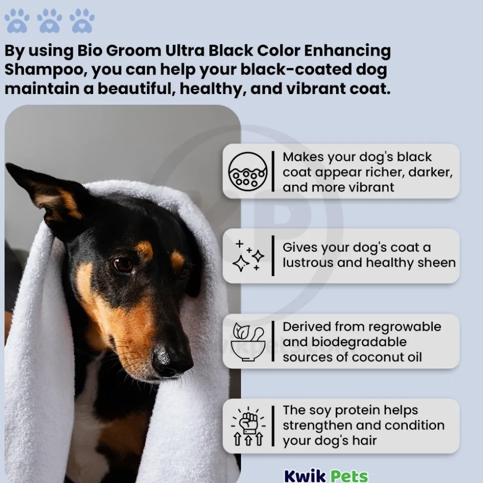 Bio-Groom Ultra Black Color Enhancing Dog Shampoo 12-oz