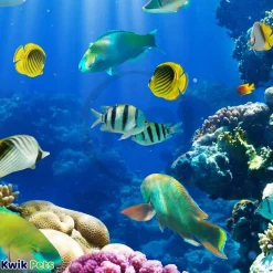 biOrb 12-Volt Aquarium Air Pump