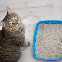 Boxiecat Air Lightweight Extra Strength Premium Clumping Cat Litter 6.5-lb