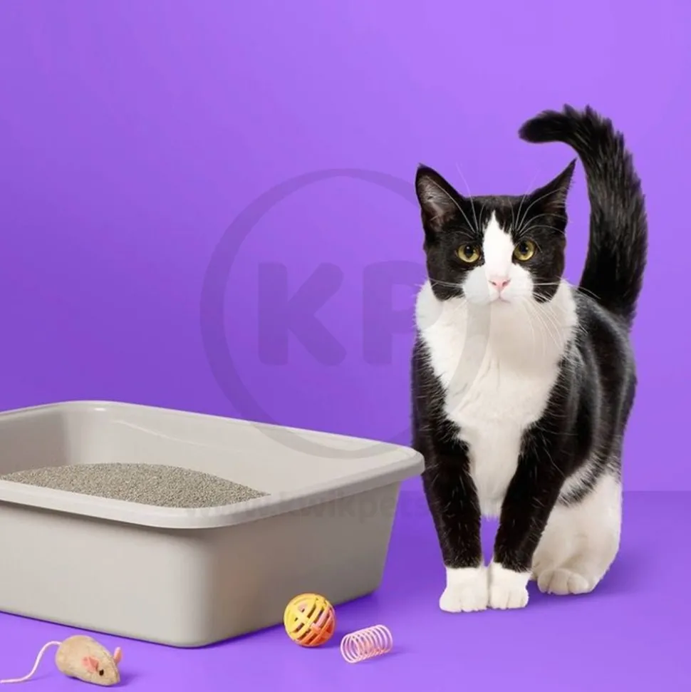 Boxiecat Air Lightweight Extra Strength Premium Clumping Cat Litter 11.5-lb