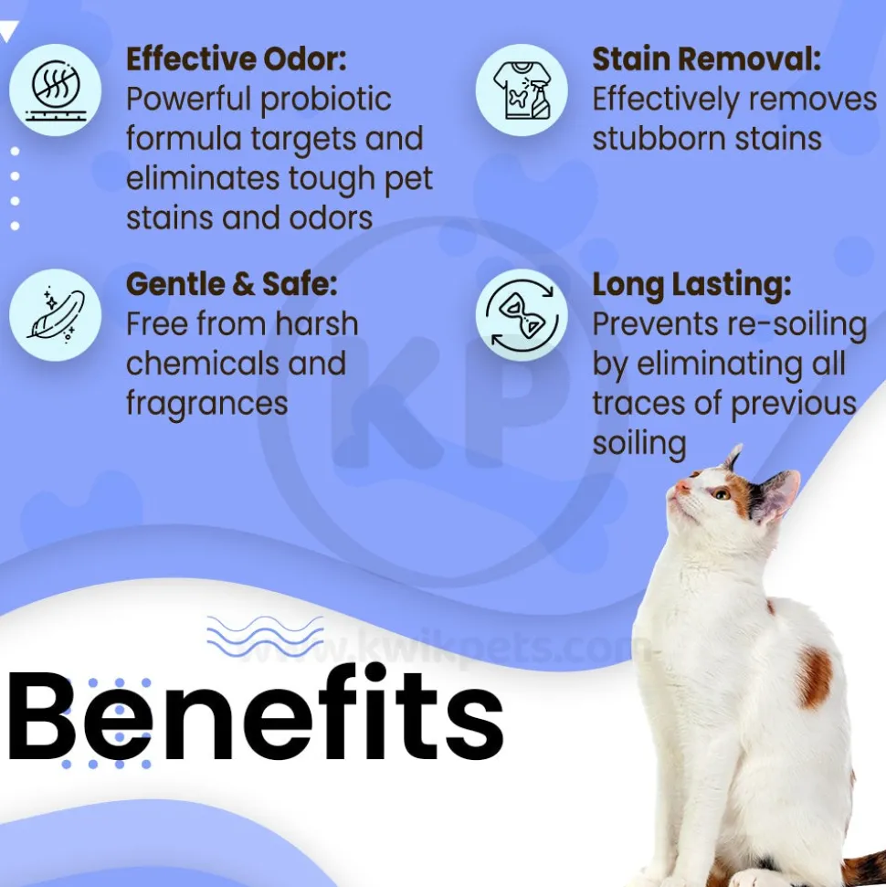 Boxiecat Premium Scent-free Stain & Odor Remover 24-oz