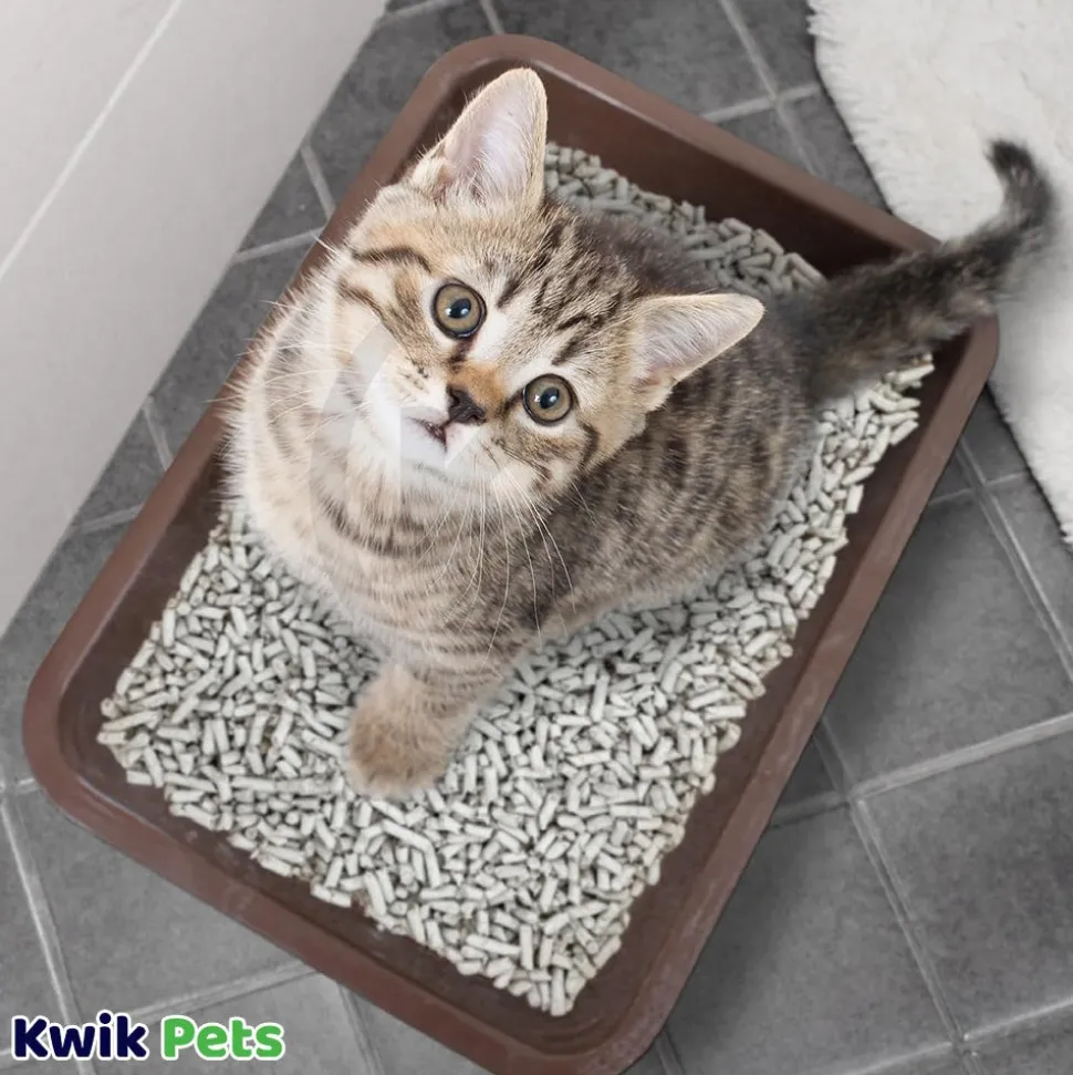 Breeder Celect Recycled Paper Cat Litter 14-lb