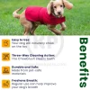 BulbHead Chewbrush Self Brushing Dog Toothbrush