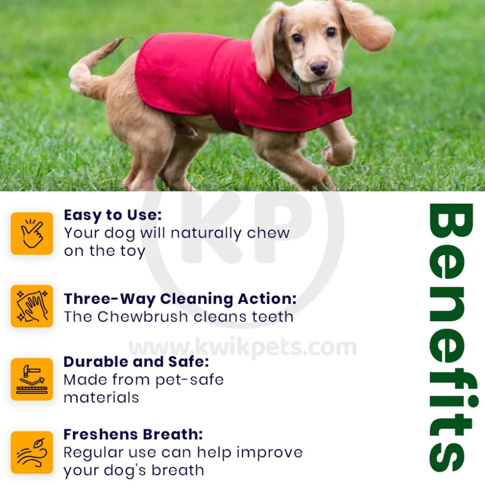 BulbHead Chewbrush Self Brushing Dog Toothbrush