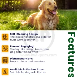 BulbHead Chewbrush Self Brushing Dog Toothbrush